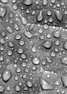 dew
