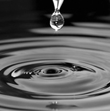 dew